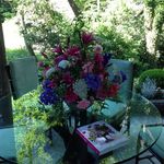 Frances Blount - @blount3638 - Instagram