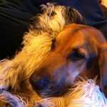 Frances Bonner - @squidgey58 - Instagram