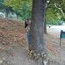 Frances Borg - Facebook