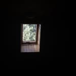 Frances Bothwell - @franandhercamera - Instagram