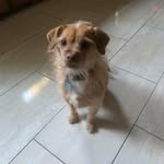 Frances Spohrer Bottego - @francesbottego - Instagram