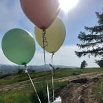 Frances Bowers - @francesbowers626 - Instagram