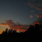 Frances Bowles - @srijanadl4 - Instagram