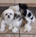 Frances Bowyer - Facebook