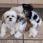 Frances Bowyer - @francesbowyer44 - Instagram