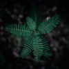 francesbrantley92 - @francesbrantley92 - TikTok