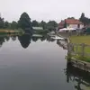 francesbrazier779 - @francesbrazier779 - TikTok