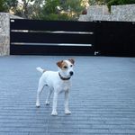 Frances Brett - @francesbrettmallorca - Instagram