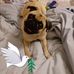 Frances Bridges - Facebook