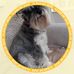 Frances Britton - Facebook