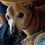 Frances Benson - Facebook