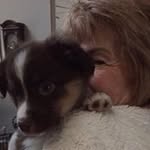 Frances Bronson - @bronsonfrances - Instagram