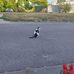Francis Brunner - Facebook