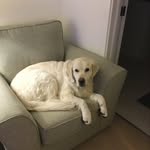 Frances Bundy - @frances.bundy.7 - Instagram