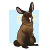 frances - @francesthebunn - TikTok