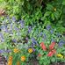 Frances Bunn - Facebook
