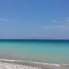 Frances Bunnenberg - @frances.bunnenber - TikTok