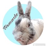 Franek - @francesco.bunny - Instagram