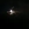 Frances Burt - @francesburt_5279 - TikTok