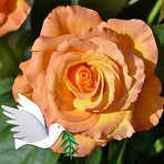 Frances Byron - Facebook