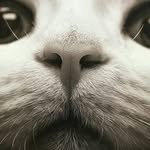 Francis Byron Revere - @francisbyronrevere - Instagram