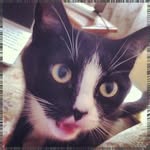 Sandy Redner - @francesbyronfyp - Instagram