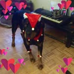 Frances Little-Callaghan - @littlecallaghan - Instagram