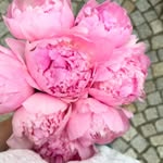 Frances Camacho - @francescamacho65 - Instagram