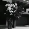 francescano - @francescano__ - TikTok