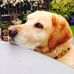 Frances Carmichael - Facebook
