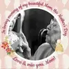 Frances Cavanaugh - @frances.cavanaugh - TikTok