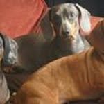 Frances Chapman - @franchapman07 - Instagram