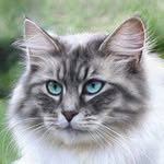 Frances Chapman - @frances.chapman.184335 - Instagram