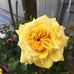 Frances Chappell - Facebook