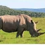 Chipembere Chipex Francis - Facebook