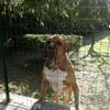 francescaschipps - @francescaschipps - TikTok