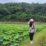Frances Chiu - @cfchiou2 - Instagram
