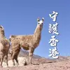 Francis Chiu - @francischiu - TikTok