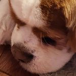 Frances - @frances.cintron3 - Instagram
