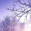 brookefrancesmcleary - @brookemcleary123 - TikTok