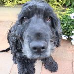Frances Cleary - @cleary.frances - Instagram