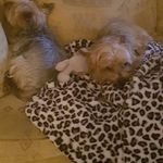 Frances Cleary - @clearyfrances1 - Instagram