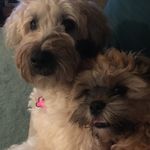 Frances Cleary-Kolodick - @franniek74 - Instagram