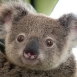 Frances Clements - @frances.clements.906 - Instagram