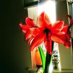 Frances Clift - @clift5767 - Instagram
