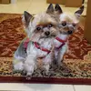 maryfrancesclose - @maryfrancesclose - TikTok
