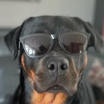 Christophe Francescone - @francesconechristophe - Instagram