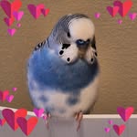 Frances Conley Grizzle - @grizzle1937 - Instagram