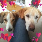 Frances Connell - @alfran43 - Instagram