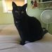 Frances Conner - Facebook